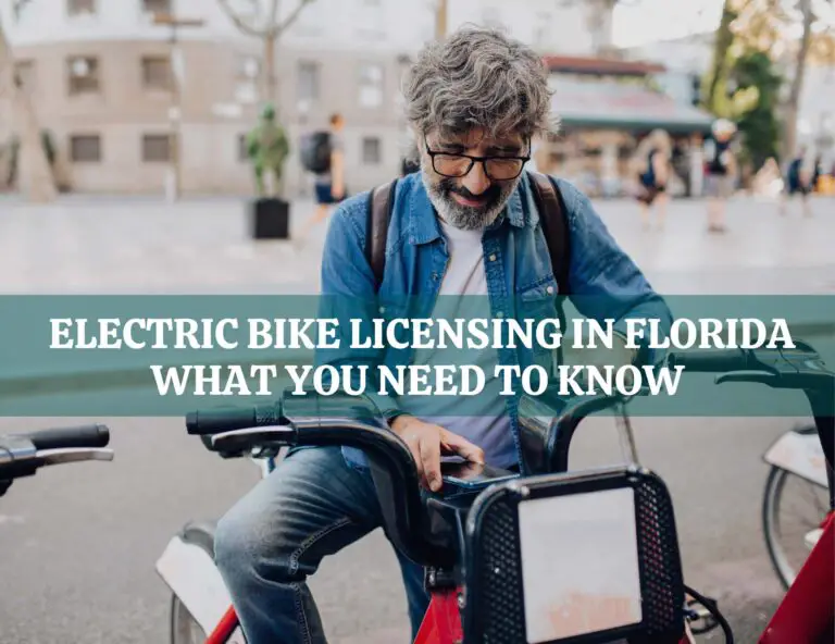 Electric Bike Licensing in Florida What You Need to Know