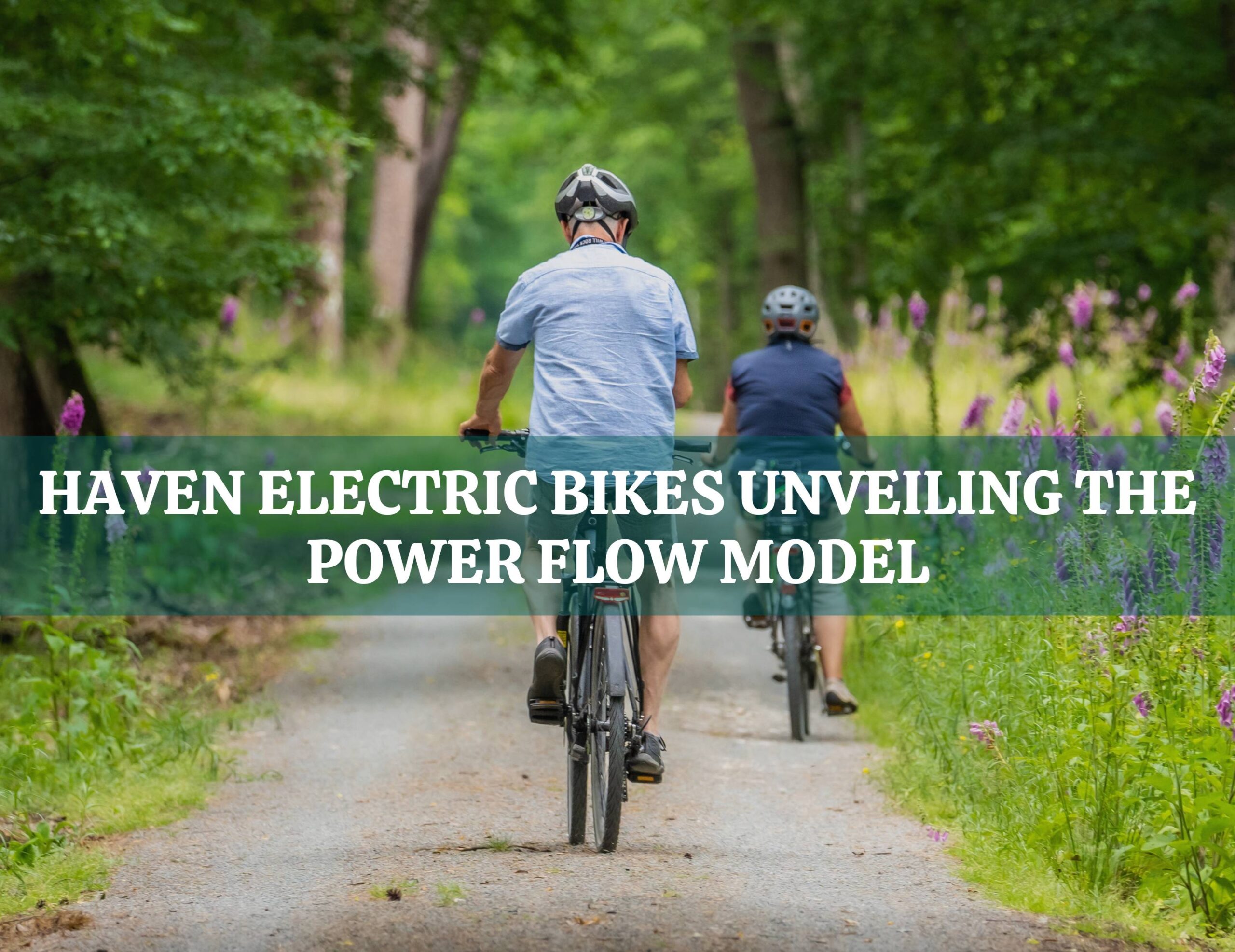 Haven Electric Bikes: Unveiling the Power Flow Model